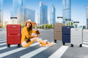 How Vittag Luggage Bags Stand Out in a Crowded Market